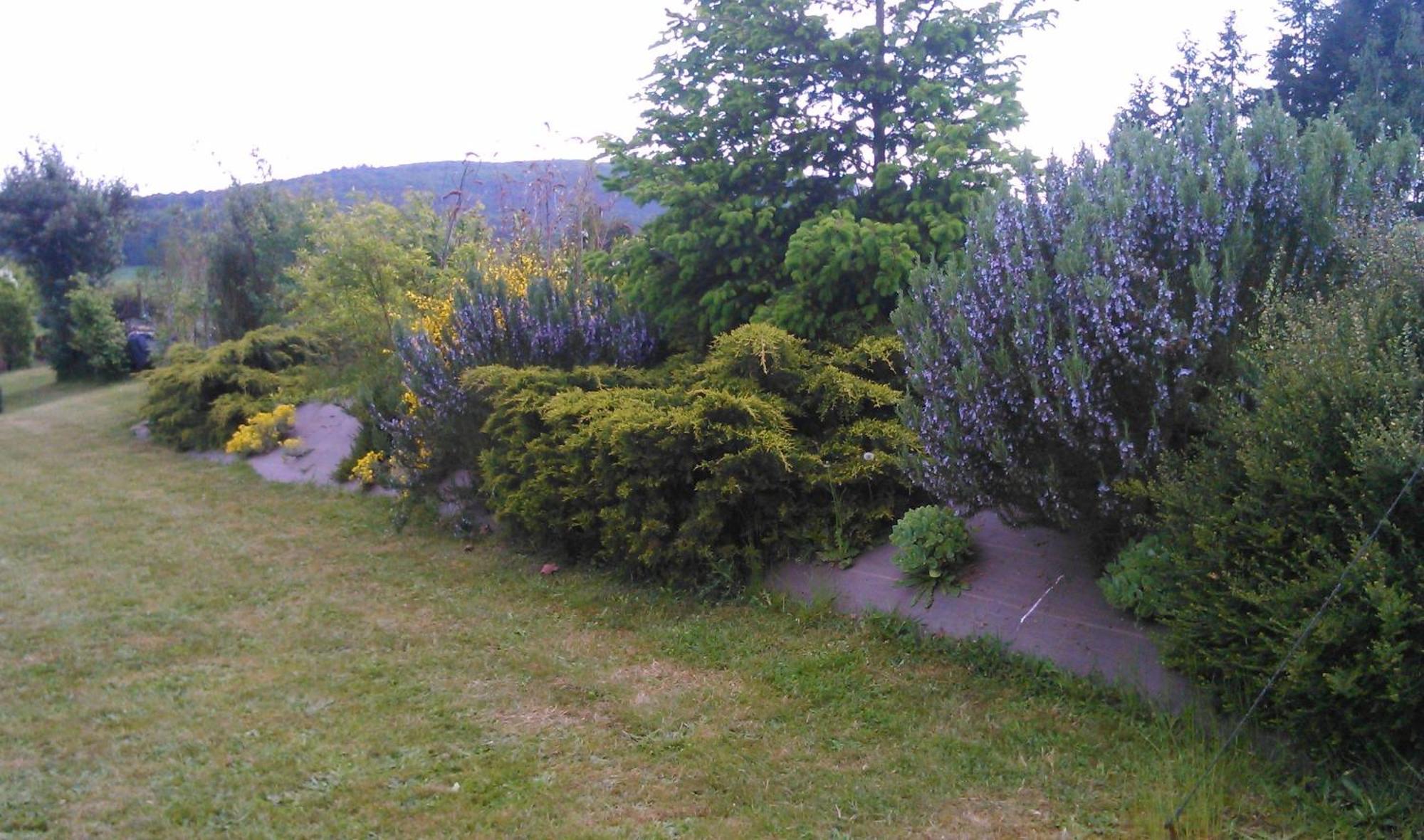 Gite Et Chambres D'Hotes Gandelain Buitenkant foto