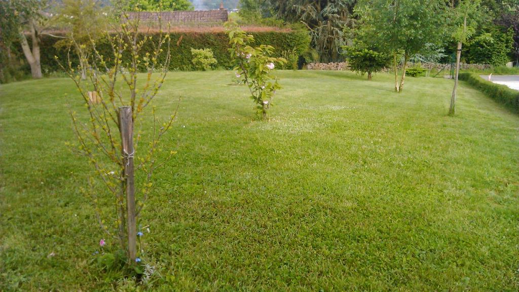 Gite Et Chambres D'Hotes Gandelain Buitenkant foto