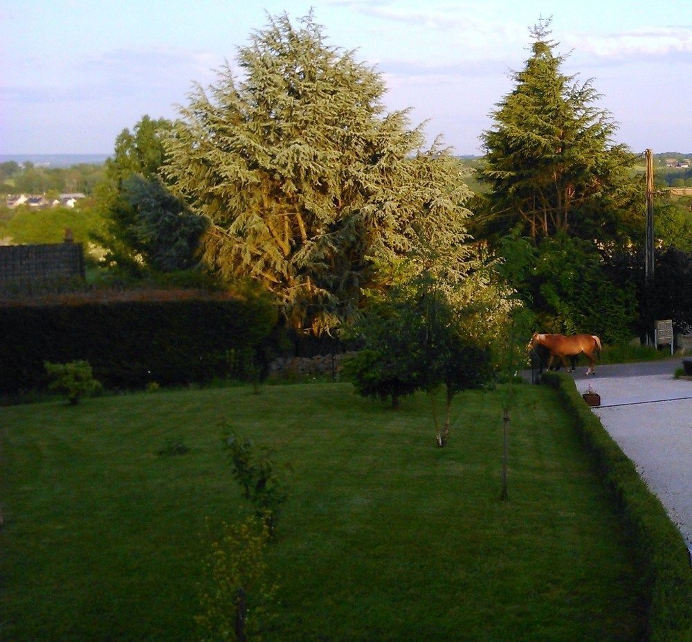 Gite Et Chambres D'Hotes Gandelain Buitenkant foto